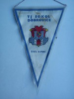 /album/dobrovice/dobrovice-tj-sokol-18-jpg/